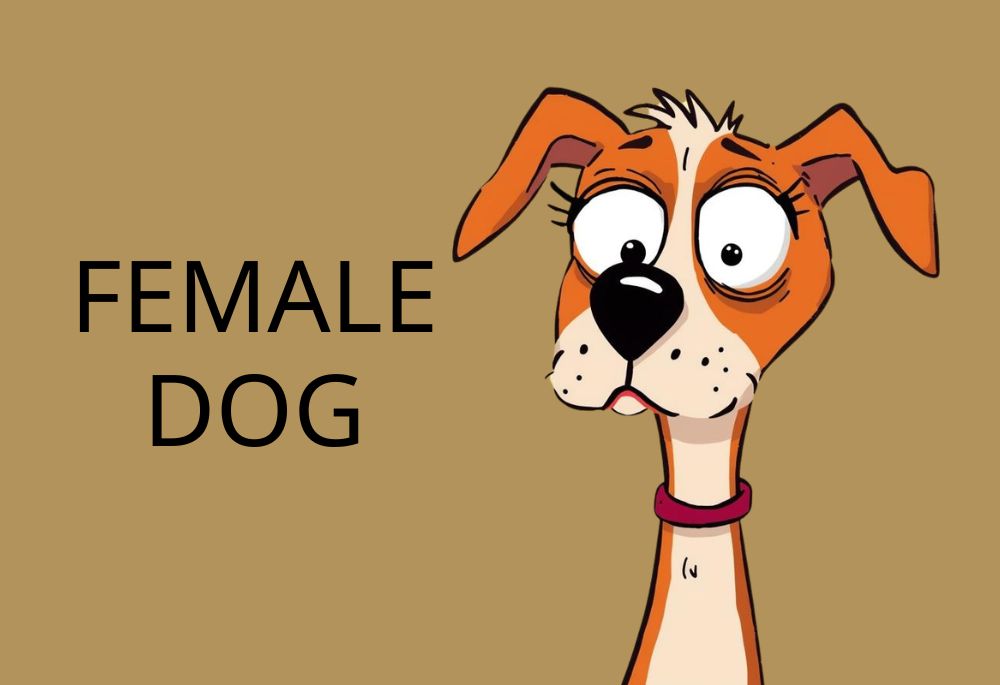 funny female dog names