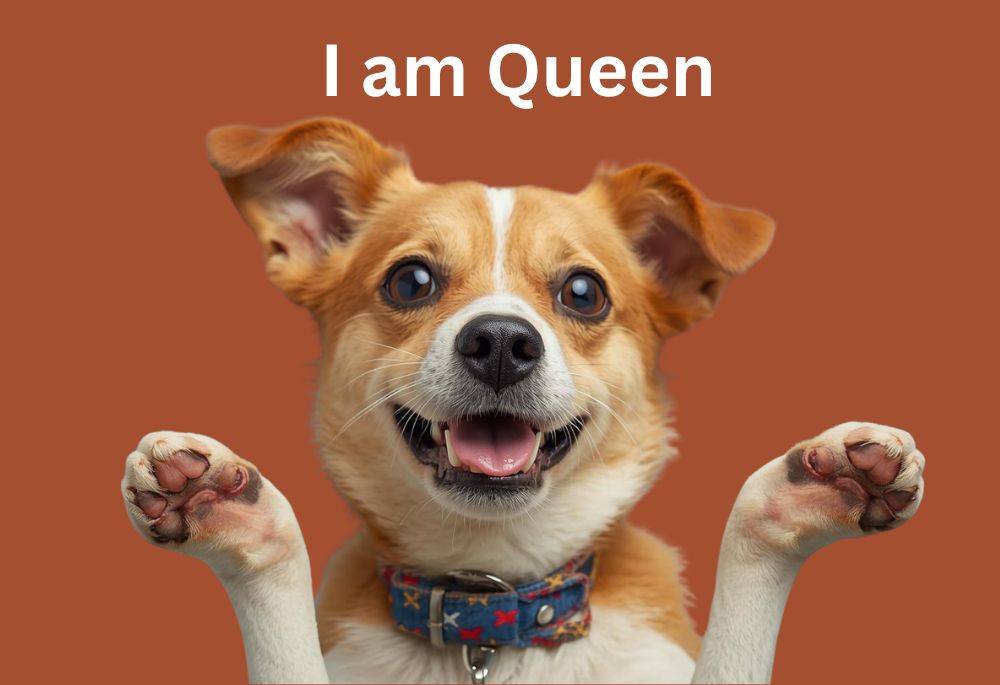 funny names for female dogs