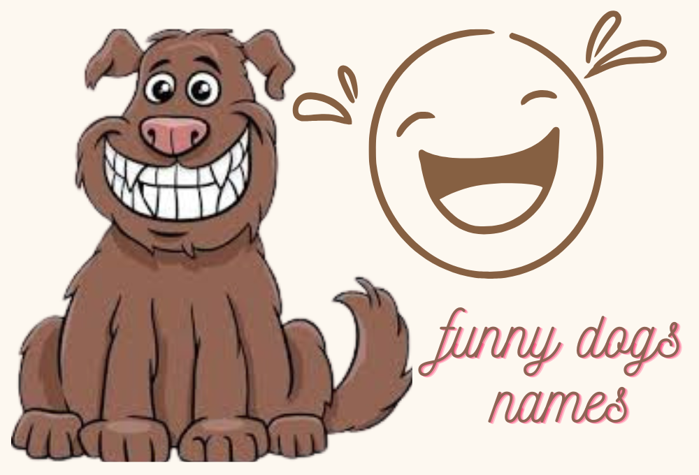 Funny dogs name