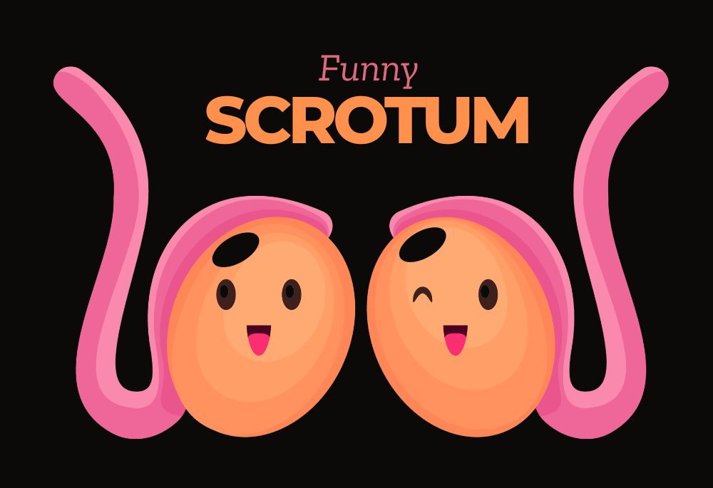 funny names for scrotum