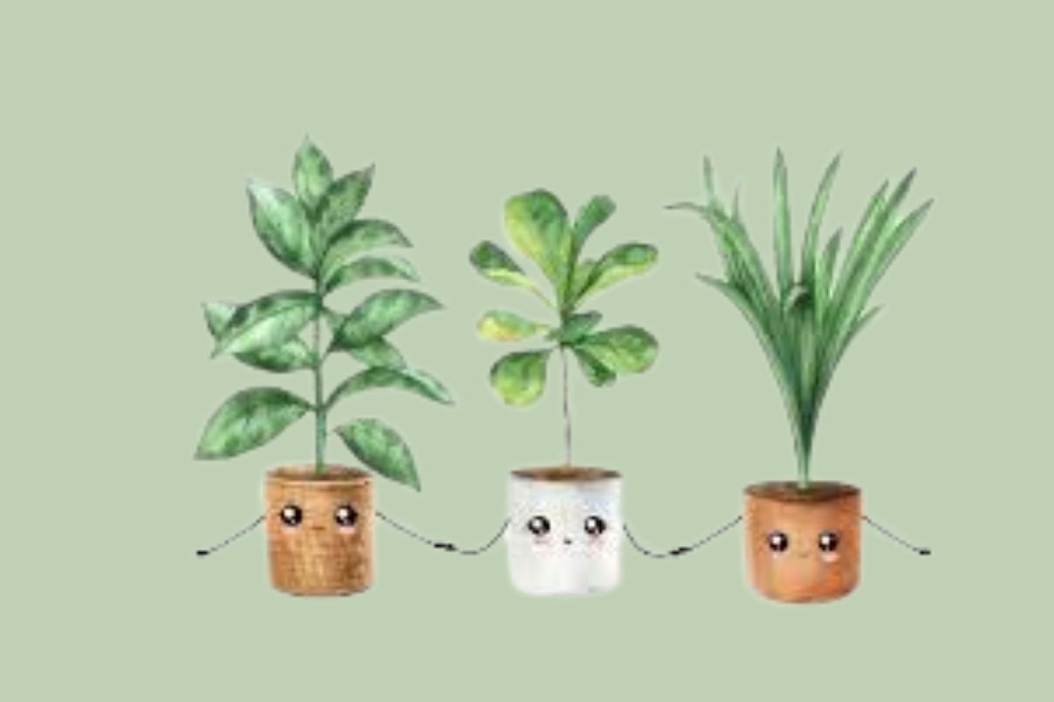 funny fiddle leaf fig