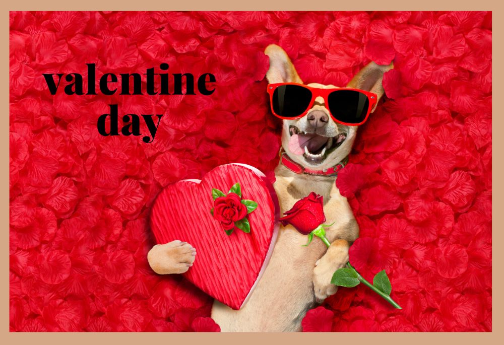 funny names for valentine's day