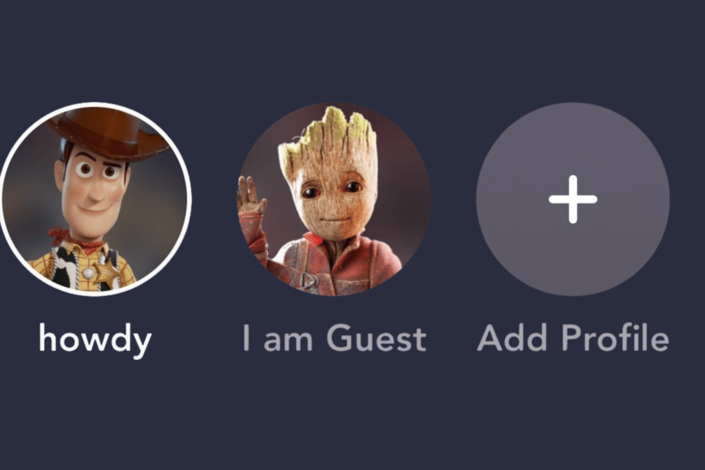 funny profile names for disney plus
