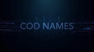 Funny COD Names